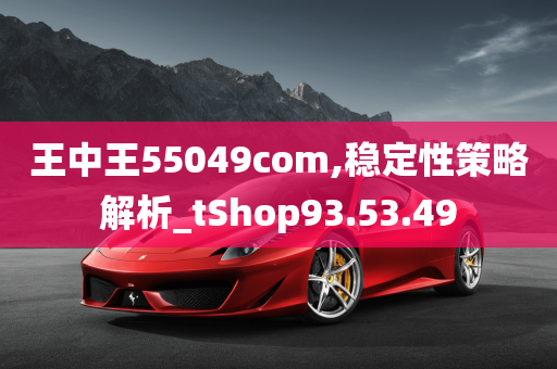 王中王55049com,稳定性策略解析_tShop93.53.49