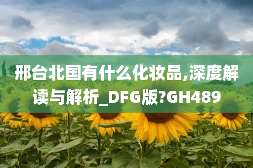 邢台北国有什么化妆品,深度解读与解析_DFG版?GH489