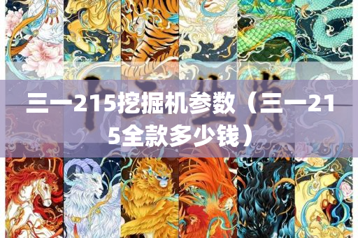 三一215挖掘机参数（三一215全款多少钱）