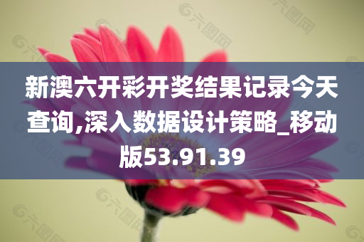 新澳六开彩开奖结果记录今天查询,深入数据设计策略_移动版53.91.39