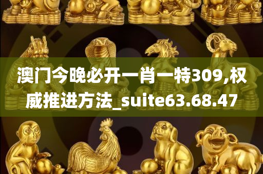 澳门今晚必开一肖一特309,权威推进方法_suite63.68.47