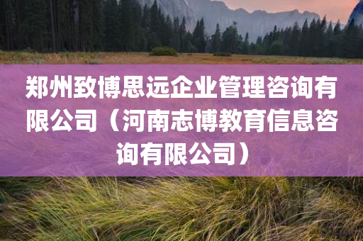 郑州致博思远企业管理咨询有限公司（河南志博教育信息咨询有限公司）