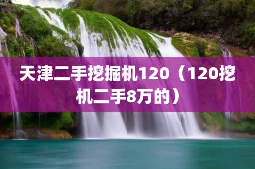 天津二手挖掘机120（120挖机二手8万的）