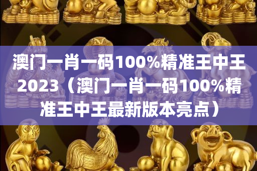 澳门一肖一码100%精准王中王2023（澳门一肖一码100%精准王中王最新版本亮点）