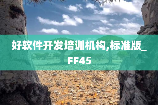 好软件开发培训机构,标准版_FF45