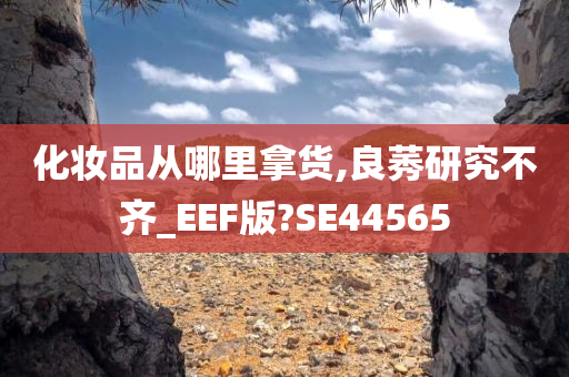 化妆品从哪里拿货,良莠研究不齐_EEF版?SE44565