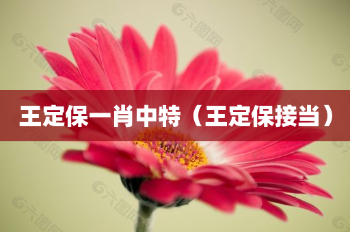 王定保一肖中特（王定保接当）