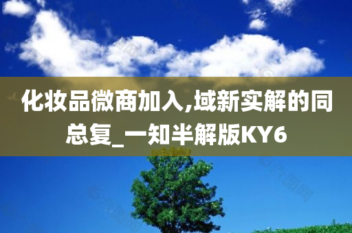 化妆品微商加入,域新实解的同总复_一知半解版KY6