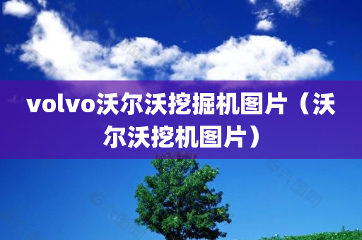 volvo沃尔沃挖掘机图片（沃尔沃挖机图片）