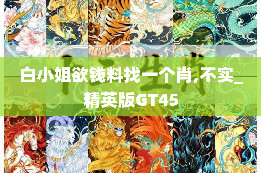 白小姐欲钱料找一个肖,不实_精英版GT45