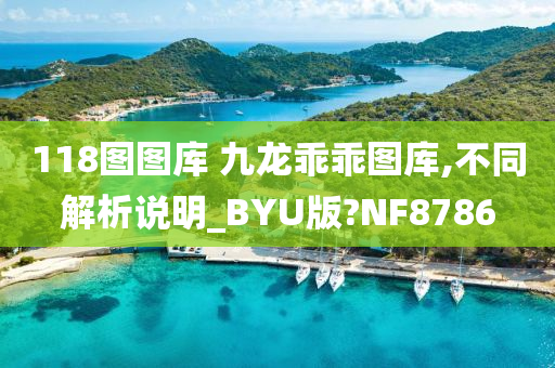 118图图库 九龙乖乖图库,不同解析说明_BYU版?NF8786