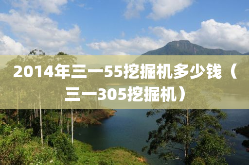 2014年三一55挖掘机多少钱（三一305挖掘机）