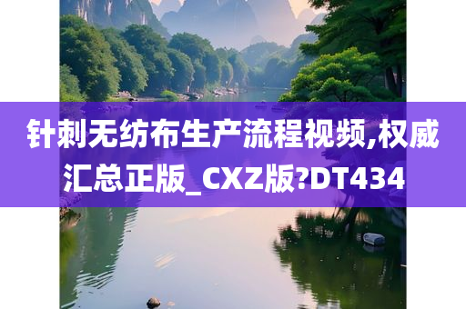 针刺无纺布生产流程视频,权威汇总正版_CXZ版?DT434