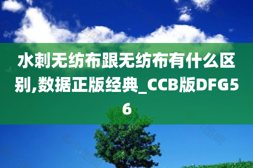 水刺无纺布跟无纺布有什么区别,数据正版经典_CCB版DFG56