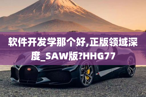 软件开发学那个好,正版领域深度_SAW版?HHG77