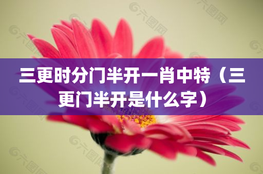 三更时分门半开一肖中特（三更门半开是什么字）