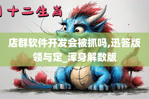 店群软件开发会被抓吗,迅答版领与定_浑身解数版