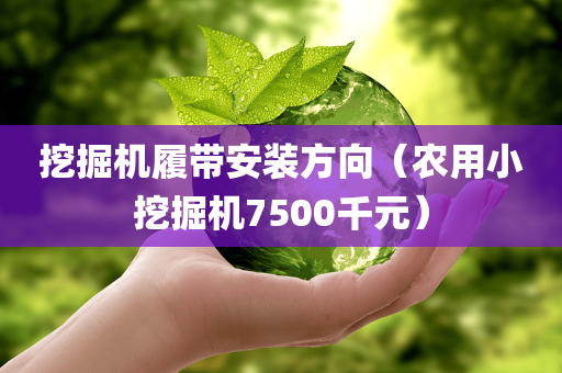 挖掘机履带安装方向（农用小挖掘机7500千元）