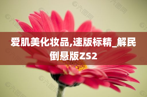 爱肌美化妆品,速版标精_解民倒悬版ZS2