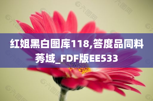 红姐黑白图库118,答度品同料莠域_FDF版EE533