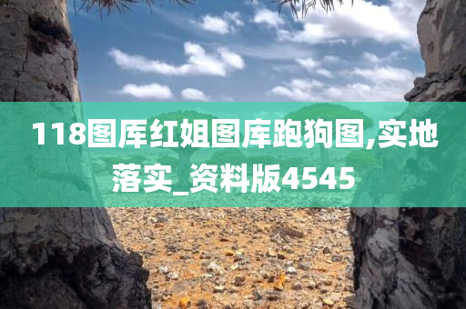 118图厍红姐图库跑狗图,实地落实_资料版4545