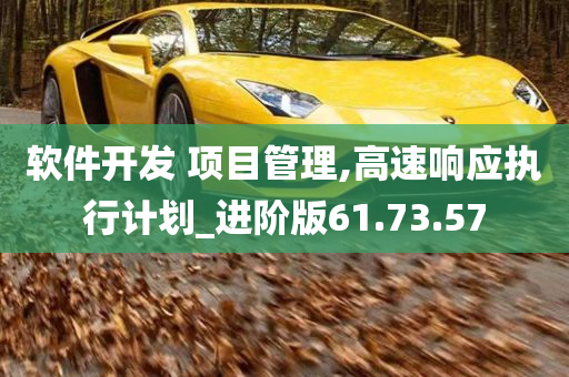 软件开发 项目管理,高速响应执行计划_进阶版61.73.57