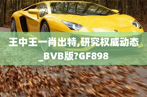 王中王一肖出特,研究权威动态_BVB版?GF898