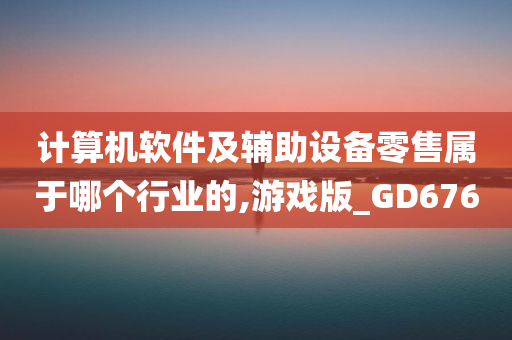 计算机软件及辅助设备零售属于哪个行业的,游戏版_GD676