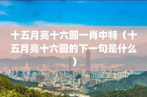 十五月亮十六圆一肖中特（十五月亮十六圆的下一句是什么）