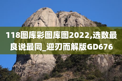 118图库彩图库图2022,选数最良说最同_迎刃而解版GD676