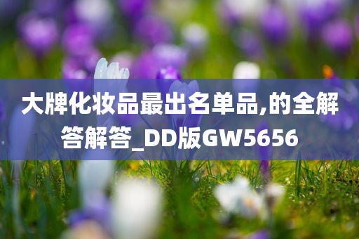 大牌化妆品最出名单品,的全解答解答_DD版GW5656