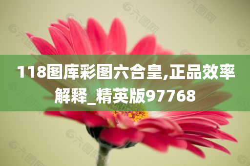 118图库彩图六合皇,正品效率解释_精英版97768