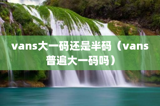 vans大一码还是半码（vans普遍大一码吗）