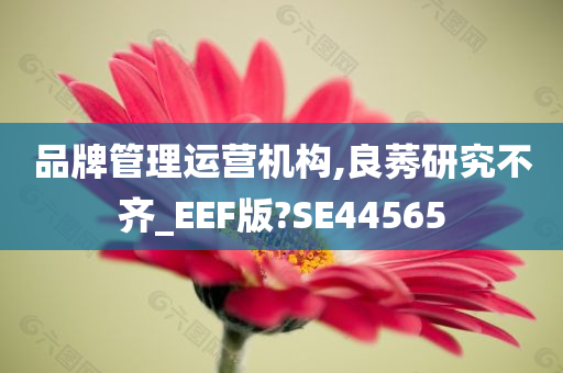 品牌管理运营机构,良莠研究不齐_EEF版?SE44565