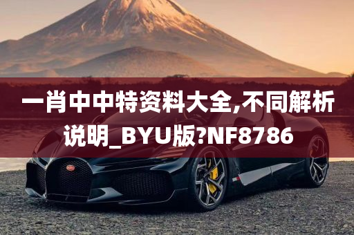 一肖中中特资料大全,不同解析说明_BYU版?NF8786