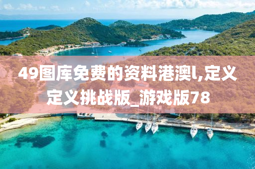 49图库免费的资料港澳l,定义定义挑战版_游戏版78