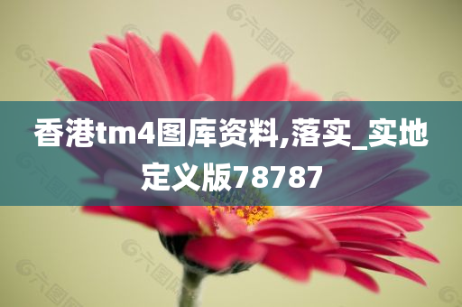 香港tm4图库资料,落实_实地定义版78787