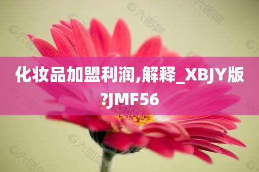 化妆品加盟利润,解释_XBJY版?JMF56