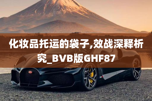 化妆品托运的袋子,效战深释析究_BVB版GHF87