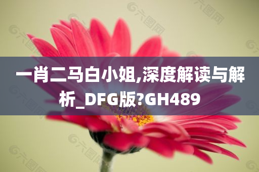 一肖二马白小姐,深度解读与解析_DFG版?GH489