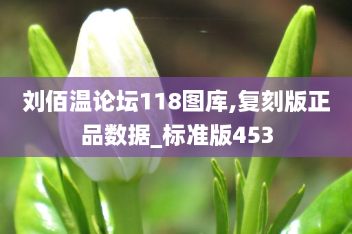 刘佰温论坛118图库,复刻版正品数据_标准版453