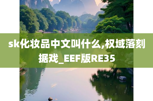 sk化妆品中文叫什么,权域落刻据戏_EEF版RE35