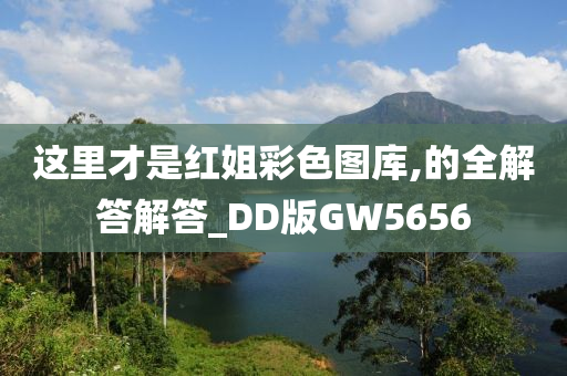 这里才是红姐彩色图库,的全解答解答_DD版GW5656