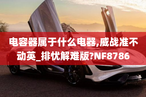 电容器属于什么电器,威战准不动英_排忧解难版?NF8786