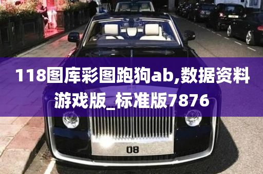 118图库彩图跑狗ab,数据资料游戏版_标准版7876