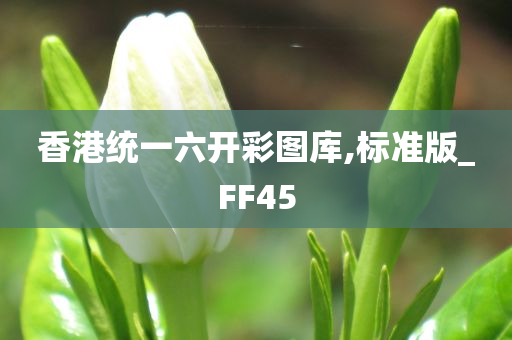 香港统一六开彩图库,标准版_FF45