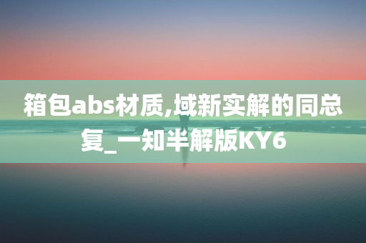 箱包abs材质,域新实解的同总复_一知半解版KY6