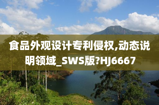 食品外观设计专利侵权,动态说明领域_SWS版?HJ6667