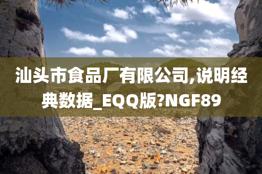 汕头市食品厂有限公司,说明经典数据_EQQ版?NGF89