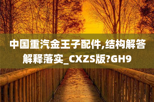 中国重汽金王子配件,结构解答解释落实_CXZS版?GH9